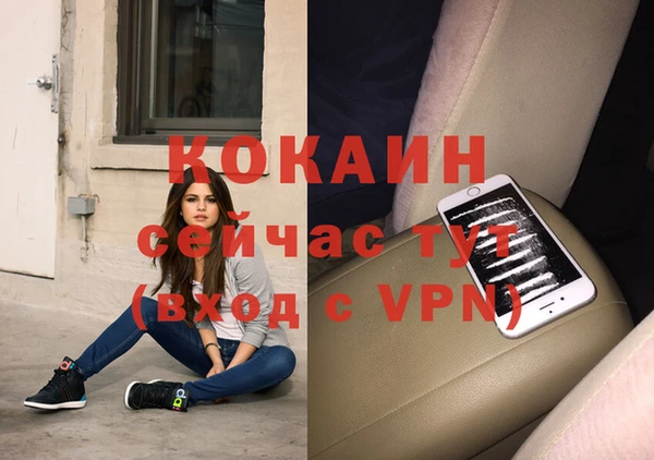 тгк Дмитровск