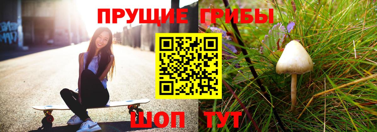 Псилоцибиновые грибы мицелий Донецк