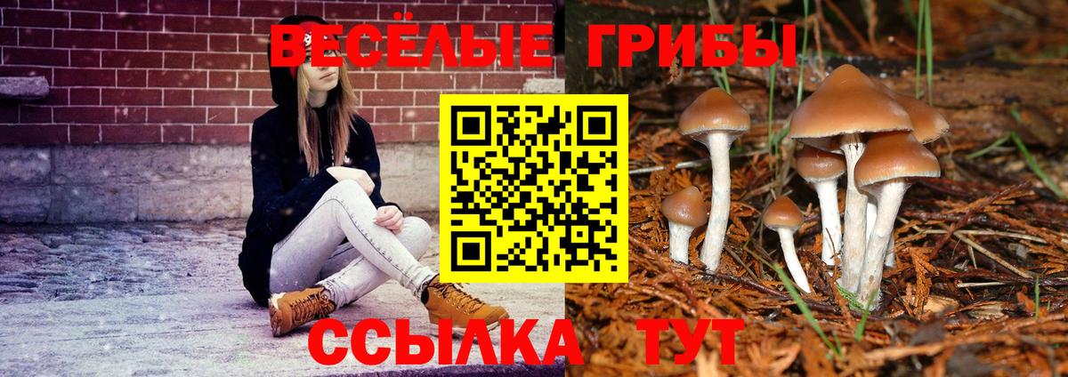 Галлюциногенные грибы GOLDEN TEACHER  Галлюциногенные грибы Psilocybine cubensis  Донецк  Вход с VPN 